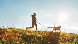 How to Train Your Dog to Be Your Running Partner